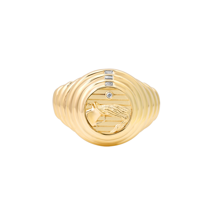 Zodiac Ring - Aquarius