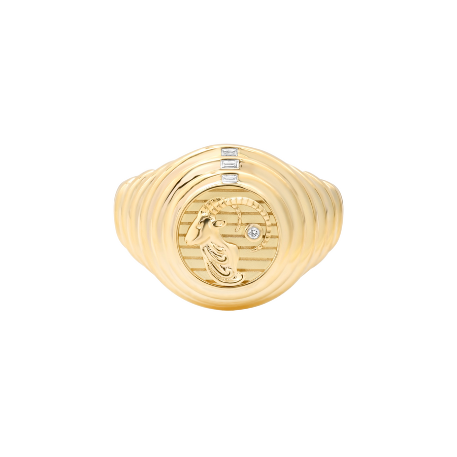 Zodiac Ring - Capricorn