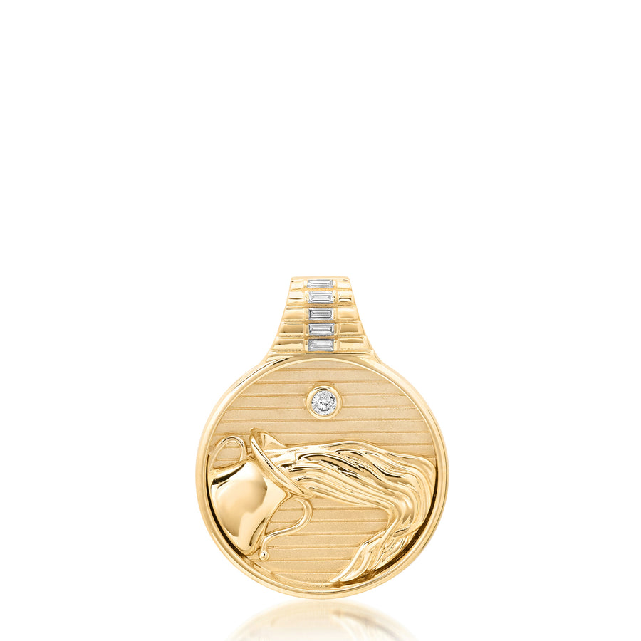 Zodiac Medallion Necklace - Aquarius